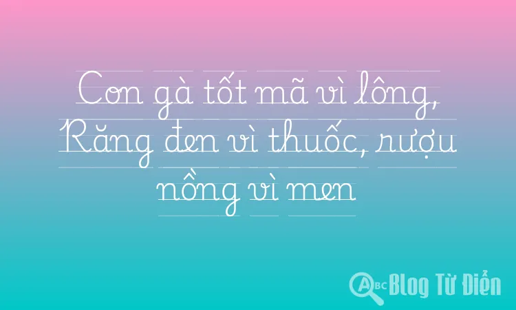 Con gà tốt mã vì lông, Răng đen vì thuốc, rượu nồng vì men