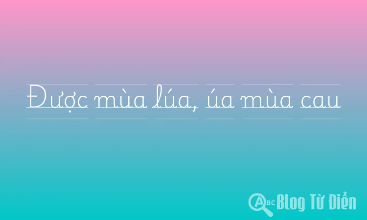 Được mùa lúa, úa mùa cau