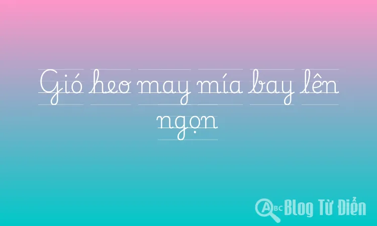 Gió heo may mía bay lên ngọn