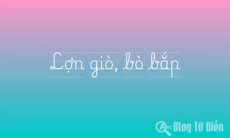 Lợn giò, bò bắp