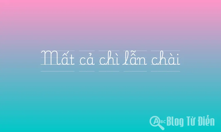 Mất cả chì lẫn chài