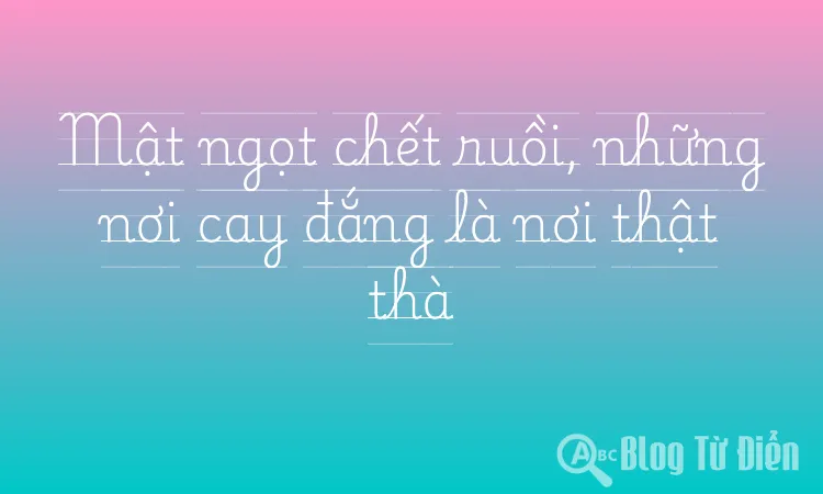 Mật ngọt chết ruồi, những nơi cay đắng là nơi thật thà