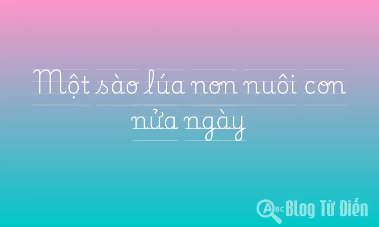 Một sào lúa non nuôi con nửa ngày