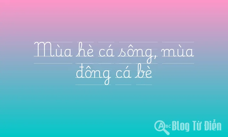 Mùa hè cá sông, mùa đông cá bè