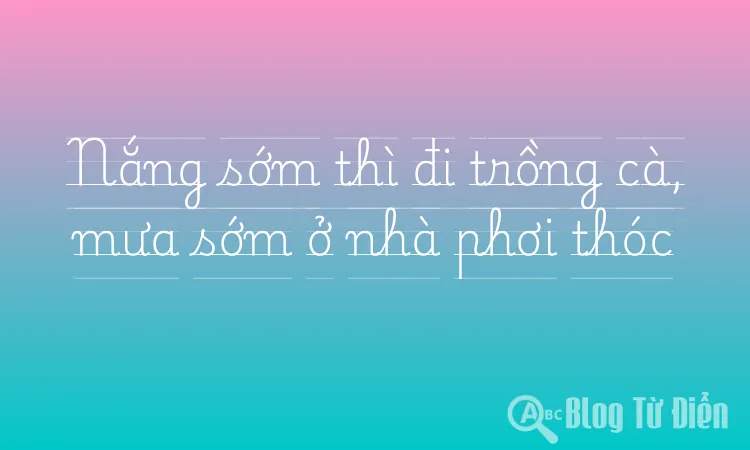 Nắng sớm thì đi trồng cà, mưa sớm ở nhà phơi thóc