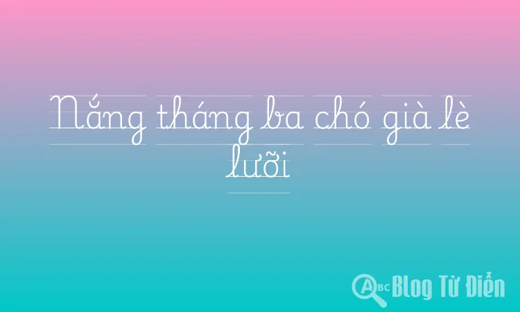 Nắng tháng ba chó già lè lưỡi