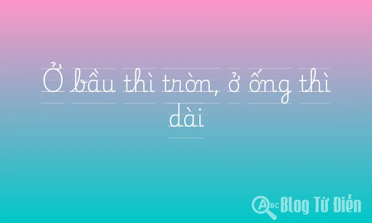 Ở bầu thì tròn, ở ống thì dài
