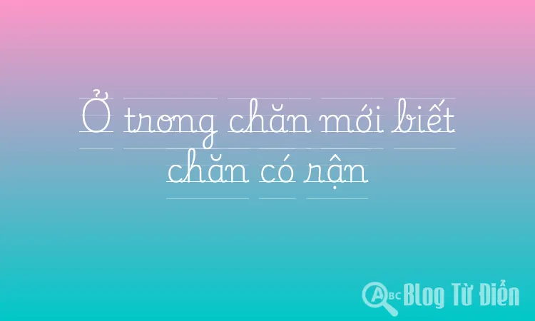 Ở trong chăn mới biết chăn có rận