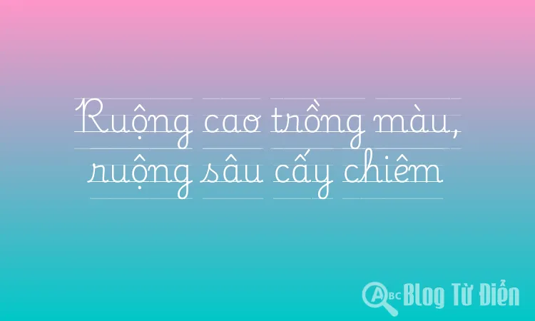 Ruộng cao trồng màu, ruộng sâu cấy chiêm