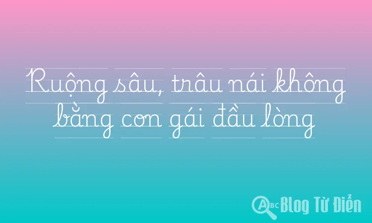 Ruộng sâu, trâu nái không bằng con gái đầu lòng