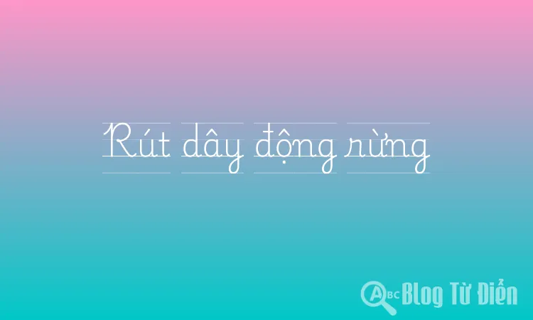 Rút dây động rừng