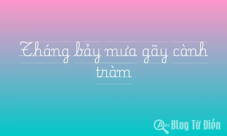 Tháng bảy mưa gãy cành tràm
