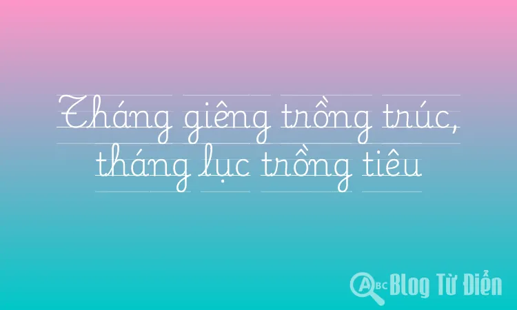 Tháng giêng trồng trúc, tháng lục trồng tiêu