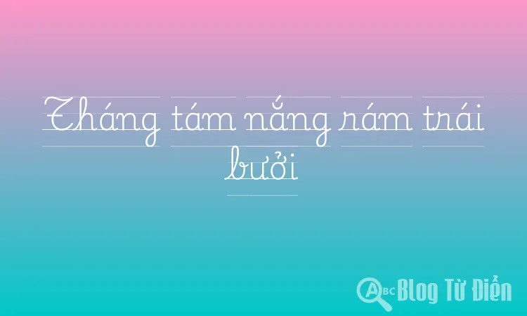 Tháng tám nắng rám trái bưởi