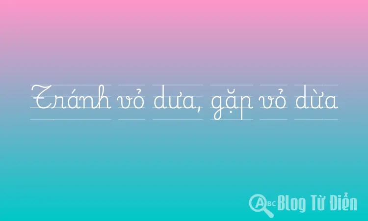 Tránh vỏ dưa, gặp vỏ dừa