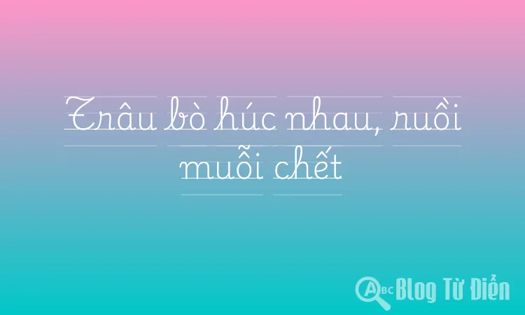 Trâu bò húc nhau, ruồi muỗi chết