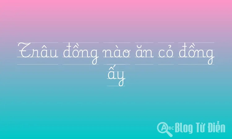 Trâu đồng nào ăn cỏ đồng ấy