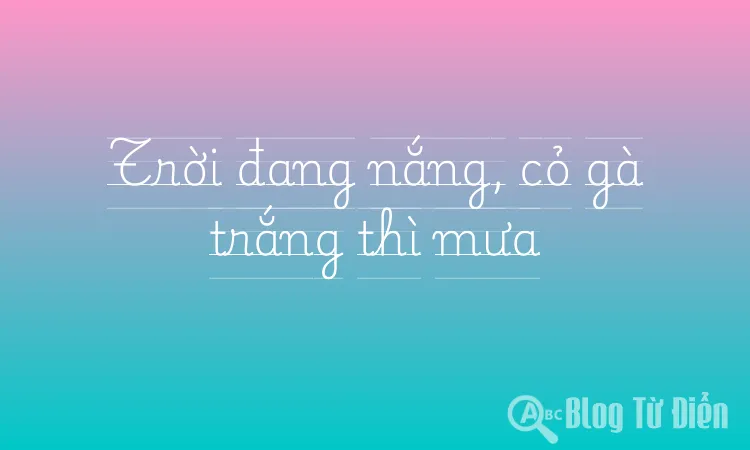 Trời đang nắng, cỏ gà trắng thì mưa