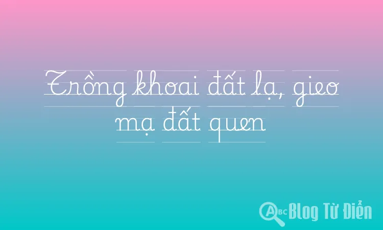 Trồng khoai đất lạ, gieo mạ đất quen
