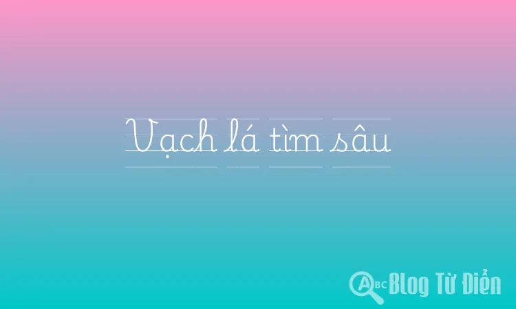 Vạch lá tìm sâu