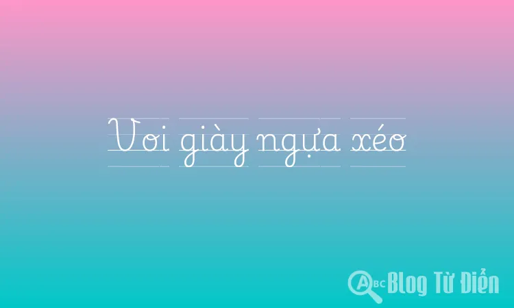 Voi giày ngựa xéo