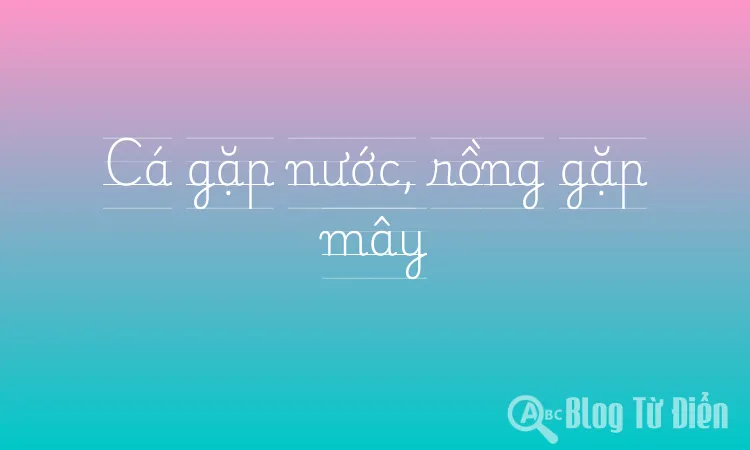 Cá gặp nước, rồng gặp mây