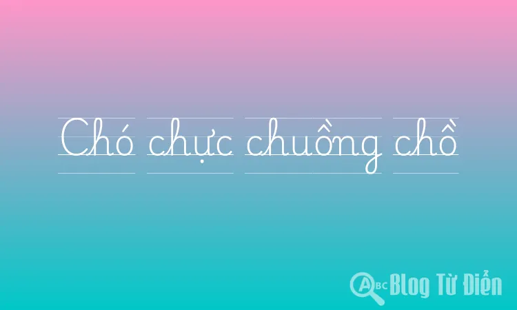 Chó chực chuồng chồ