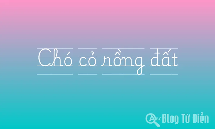 Chó cỏ rồng đất