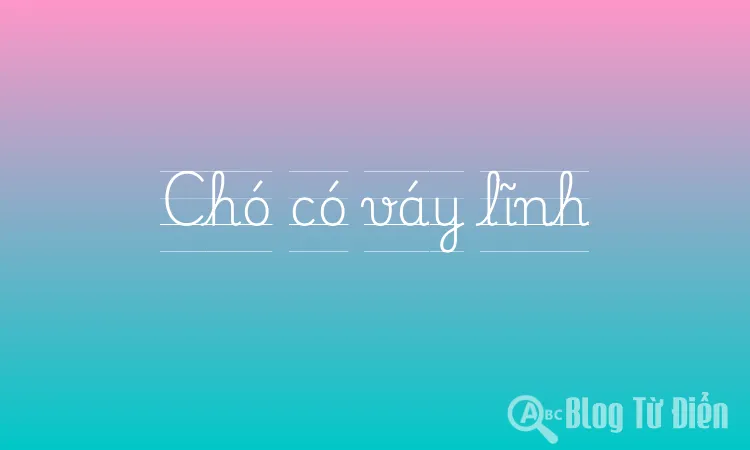 Chó có váy lĩnh