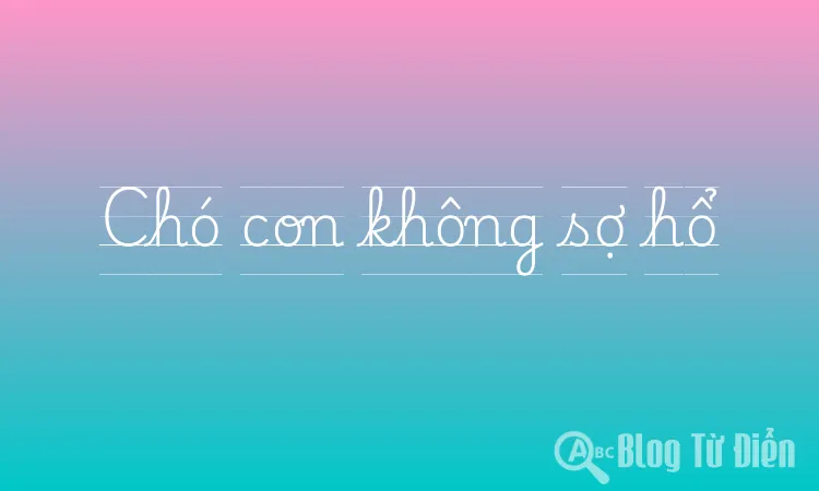 Chó con không sợ hổ