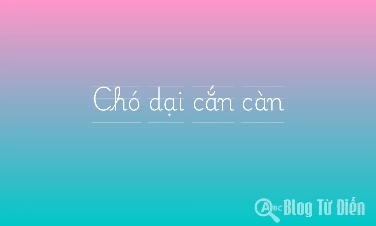 Chó dại cắn càn