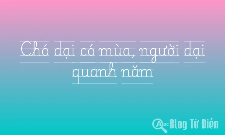Chó dại có mùa, người dại quanh năm
