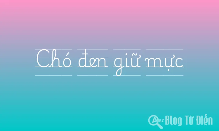 Chó đen giữ mực