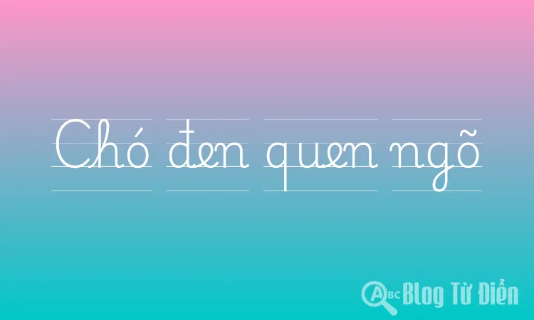 Chó đen quen ngõ