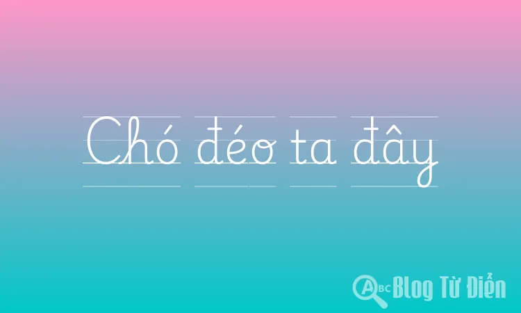Chó đéo ta đây