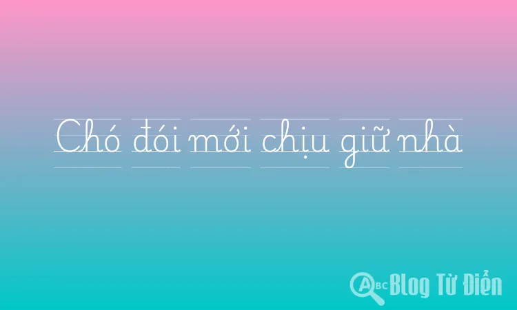 Chó đói mới chịu giữ nhà