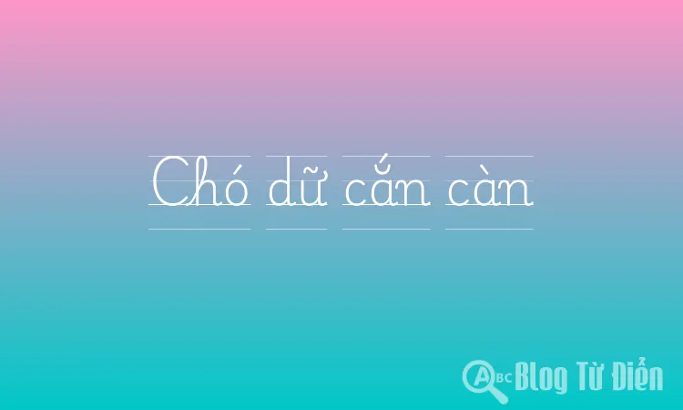 Chó dữ cắn càn