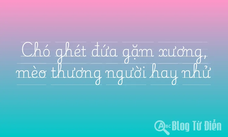 Chó ghét đứa gặm xương, mèo thương người hay nhử