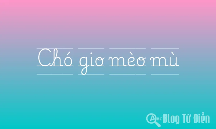 Chó gio mèo mù