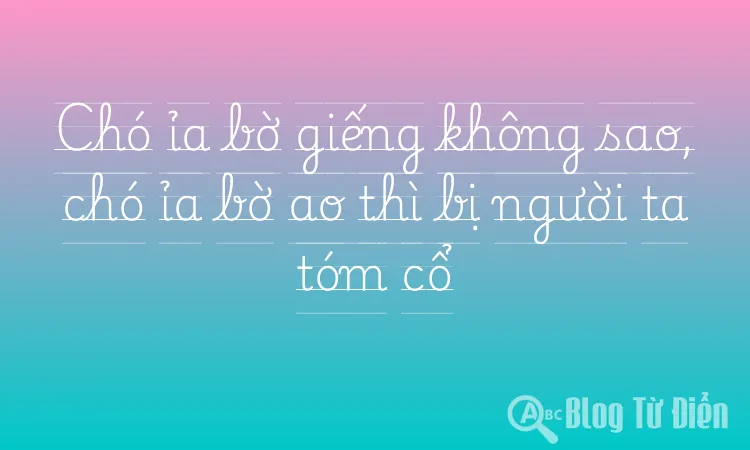Chó ỉa bờ giếng không sao, chó ỉa bờ ao thì bị người ta tóm cổ