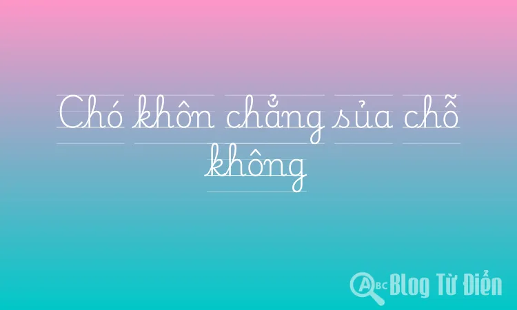 Chó khôn chẳng sủa chỗ không