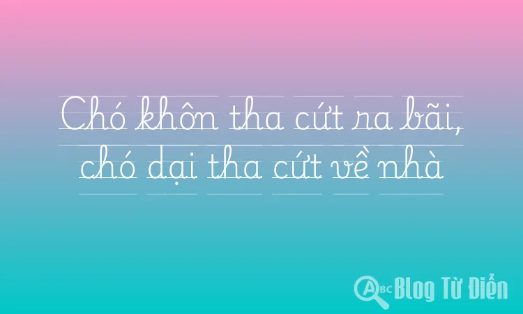 Chó khôn tha cứt ra bãi, chó dại tha cứt về nhà