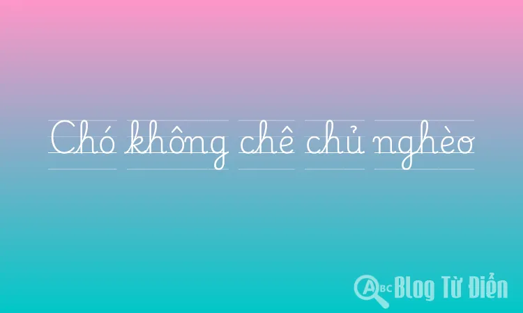 Chó không chê chủ nghèo