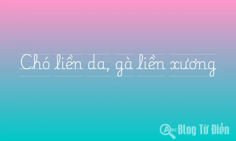 Chó liền da, gà liền xương