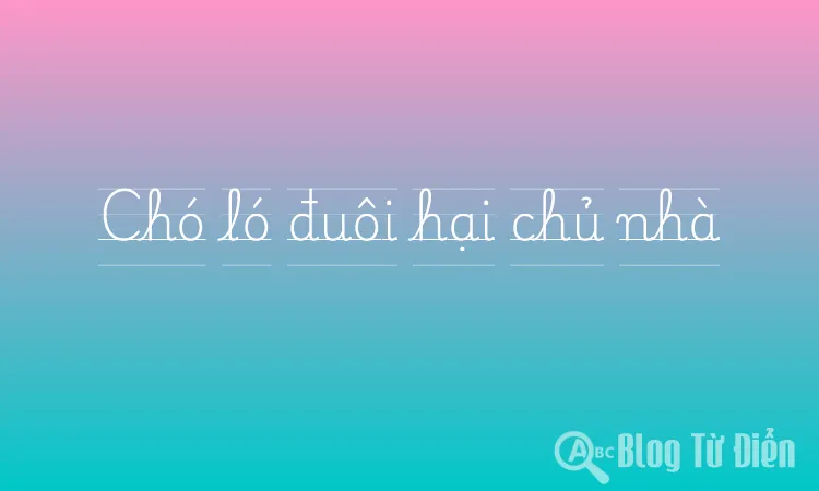 Chó ló đuôi hại chủ nhà