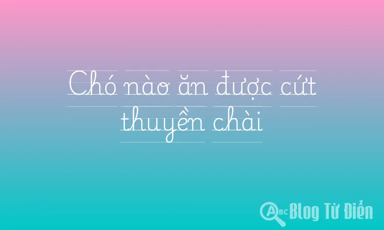 Chó nào ăn được cứt thuyền chài
