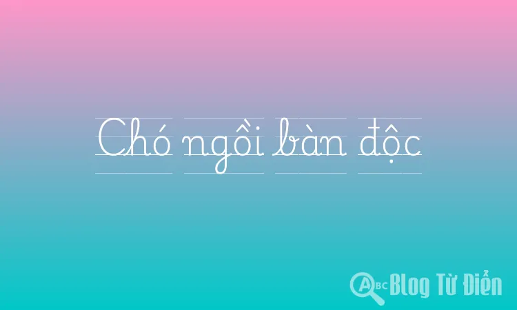 Chó ngồi bàn độc