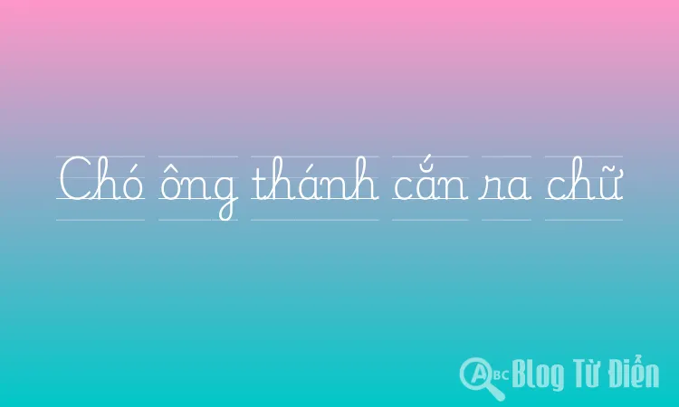 Chó ông thánh cắn ra chữ