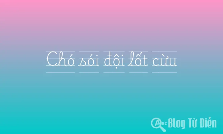 Chó sói đội lốt cừu