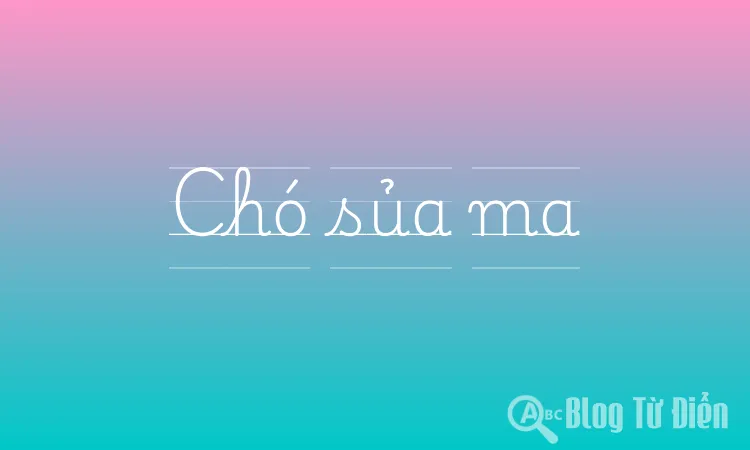 Chó sủa ma